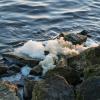 PFAS polluting the ocean