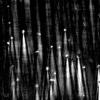 light pillars