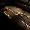 3.2-million-year-old hominin skeleton popularly known as Lucy