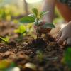 Child's hands immersed in soil