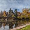 Varsity Lake with pine trees and colorful fall foliage in muted tones.