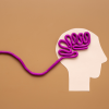 illustration of a brain