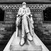 A black and white photo show a white concrete statue of a man, a Darwin sculpture at the Natural History Museum. London, England, UK. January 2020 (Unsplash Hulki Okan Tabak)