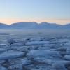 Sea ice