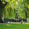 person sitting on a bench in a park