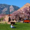 students outside on campus on a spring day