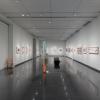 CU Art Museum gallery