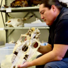 Man sits holding a horse skull in his hands