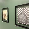 prints on display at the CU Art Museum