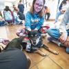 students spending time with therapy dogs on campus