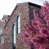 campus building and tree with pink blooms