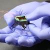 Hands wearing purple gloves hold a tiny robot with wires running from it