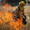 fire fighter