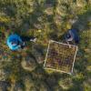 researchers analyze Arctic plants