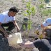 campus community members planting an apple tree