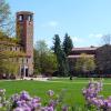 Flowers in bloom on the CU Boulder campus.