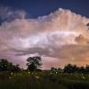 fireflies in Boulder, Colorado