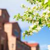spring blooms and campus buildings