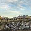 sunset at Joshua Tree National Park