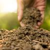 hand feeling fertilizer
