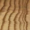 tree rings