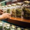 Loose flower cannabis in jars at a retail store