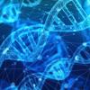 Strands of DNA shown in blue