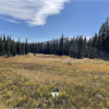Rocky Mountain wetland