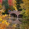 Fall foliage around Varsity lake on CU Boulder campus