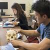 student handling a model of a human skull