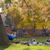students studying outside and lounging on a hammock
