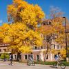 campus community members riding bikes on campus