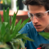 person working with plants in a greenhouse