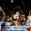 CU volleyball player in action