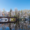 snow-covered Varsity Lake bridge