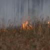 A prescribed fire at the Joseph W. Jones Ecological Research Center in Georgia.