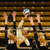 CU Volleyball players