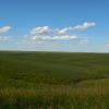 an open field