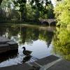Varsity Lake.  (Photo by Glenn Asakawa/University of Colorado)
