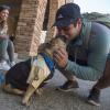 Student kissing bulldog on campus