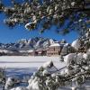 Winter snow on campus, looking through evergreens toward the Flatirons