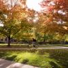 A scenic fall image on the CU Boulder Campus