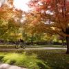 A scenic fall image on the CU Boulder Campus