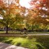 A fall scenic image of the CU Boulder campus