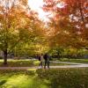 Students walk to class on the CU Boulder campus