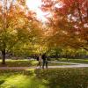 Students walk across campus bursting with fall colors