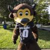 Chip the Buffalo in his Colorado Buffaloes jersey