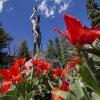 red flowers and statue outside of UMC building on campus