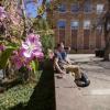 spring blooms on campus