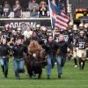 Ralphie takes the field.